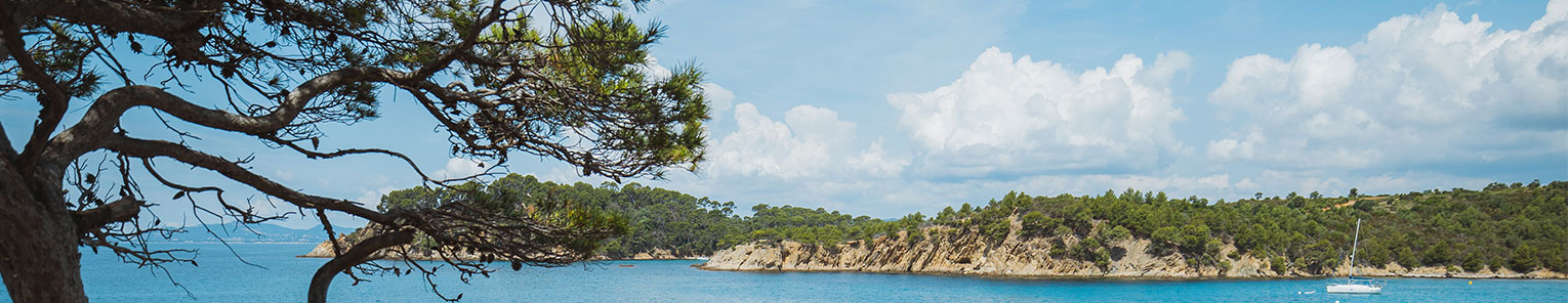 Une vue sur la mer avec en premier plan un arbre.